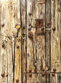 "Se poso la mariposa"